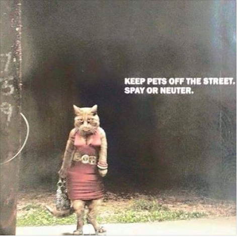 f19beb363cba0bd58674a65337a3e54b.png