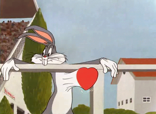 tumblr_m4hvpcDXYS1r3rq0ko3_500.gif