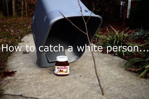tumblr_lytyv2UCNN1r7cp45o1_500.jpg