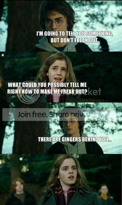 potter-gingers.jpg