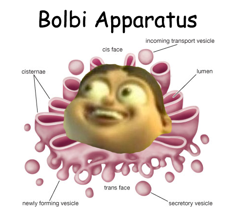 tumblr_mm1rm398pe1rgek5yo1_500.png