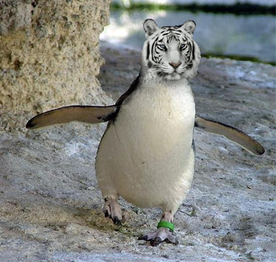 tiger_penguin_by_tzila-d4fajwc.jpg