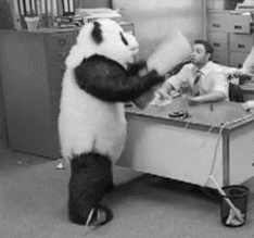 Panda.gif