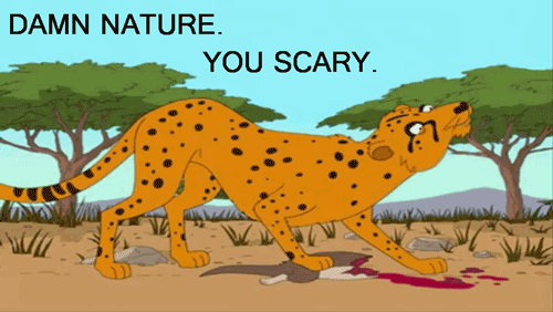 tumblr_lsiba1Z7n91r112c8o4_500.gif