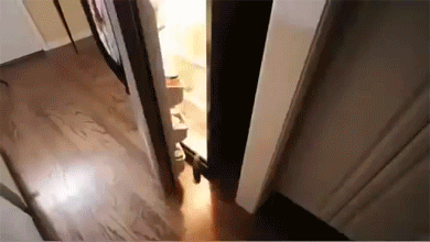 tumblr_n43jsgIYuP1r3gb3zo4_400.gif