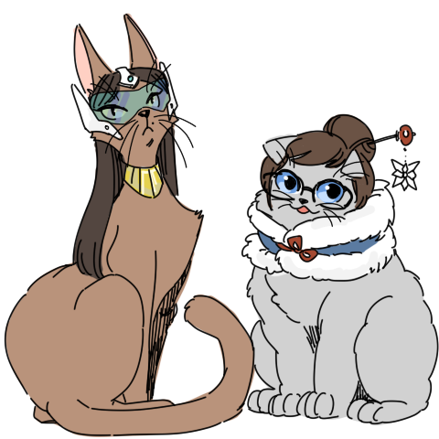 tumblr_o7a2p3w7PG1vui4t7o1_500.png