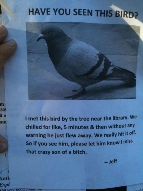 hilarious-street-signs-26.jpeg