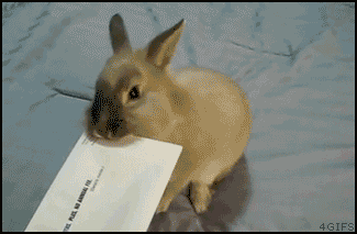129167245836453883_zps5223c5c7.gif