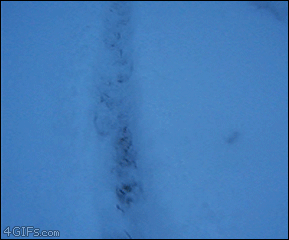 tumblr_mwpdq5P4XG1qdlh1io1_400.gif