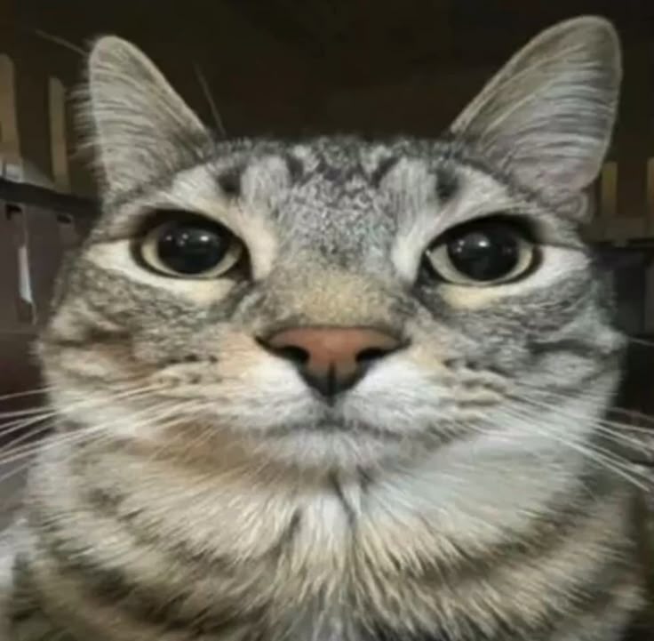 e6c731ea0deeedcbaa24545651d420ac.jpg