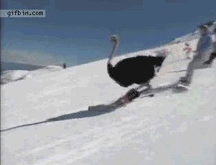 tumblr_miqs2aU3d81qdr7w6o1_400.gif
