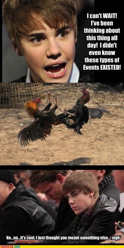 bieber-cockfight.jpg