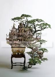 Bonsai.jpg
