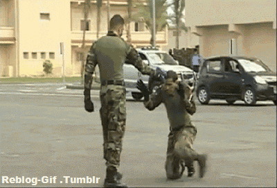 Cl6cWi0P55FHG.gif