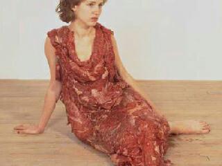 meat-dress-by-jane-sterbak-ottawa.jpg