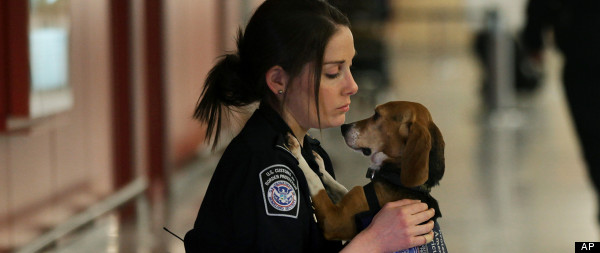 r-ANIMALS-HUGGING-HUMANS-large.jpg