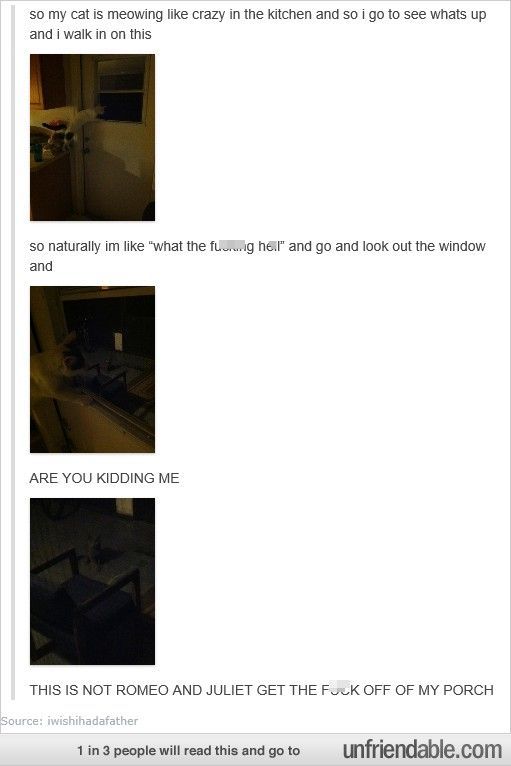 tumblr_na9o7bo5qG1tficwmo5_1280.jpg