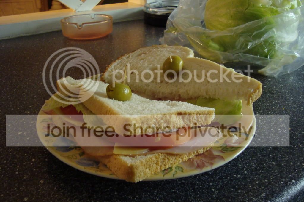SANDVICH.jpg