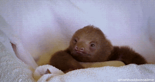 Freak+Out+Gif2.gif