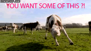 5459_682f.gif